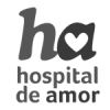 logo-hospital-do-amor